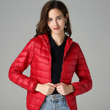 Transition Jacket Leonor