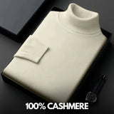 Elegant Frederico winter sweater